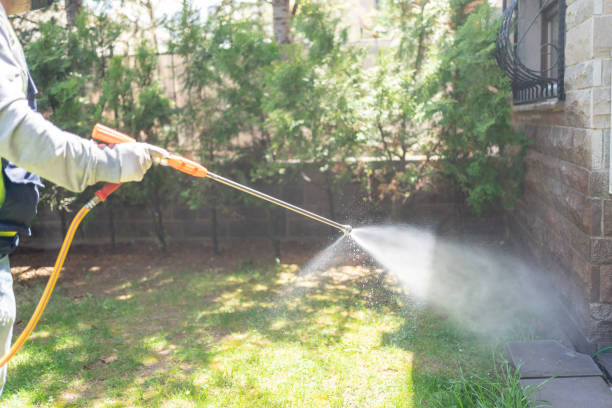 Seasonal Pest Control (e.g., summer mosquitoes, winter rodents) in Wood River, IL